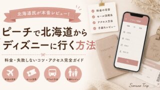 【ピーチでディズニーに行く方法】北海道からの料金・アクセス・失敗しないコツ完全ガイド